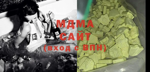 хмурый Аркадак
