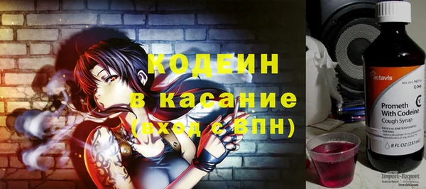 хмурый Аркадак
