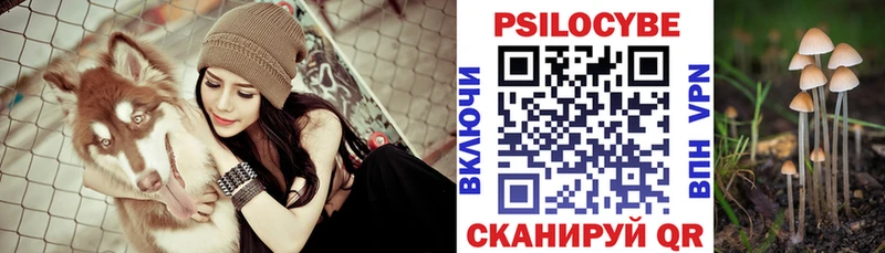 купить   Аша  blacksprut tor  Псилоцибиновые грибы Psilocybe 